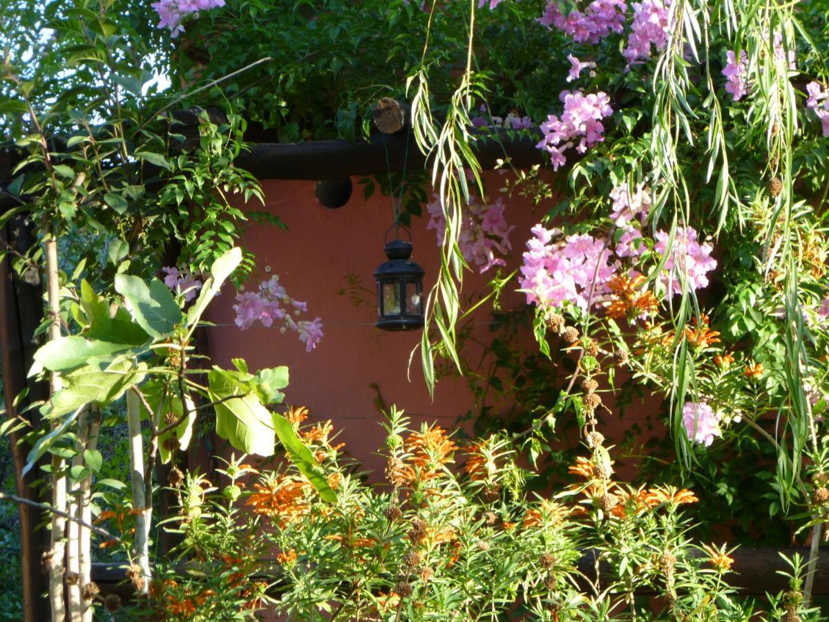 Eco Moyano Posada Gaucín Exterior foto