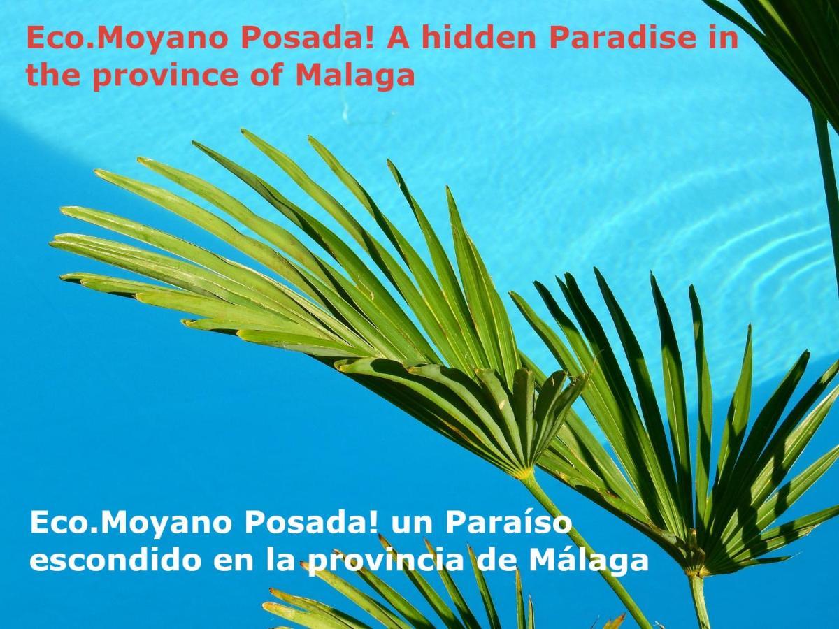 Eco Moyano Posada Gaucín Exterior foto