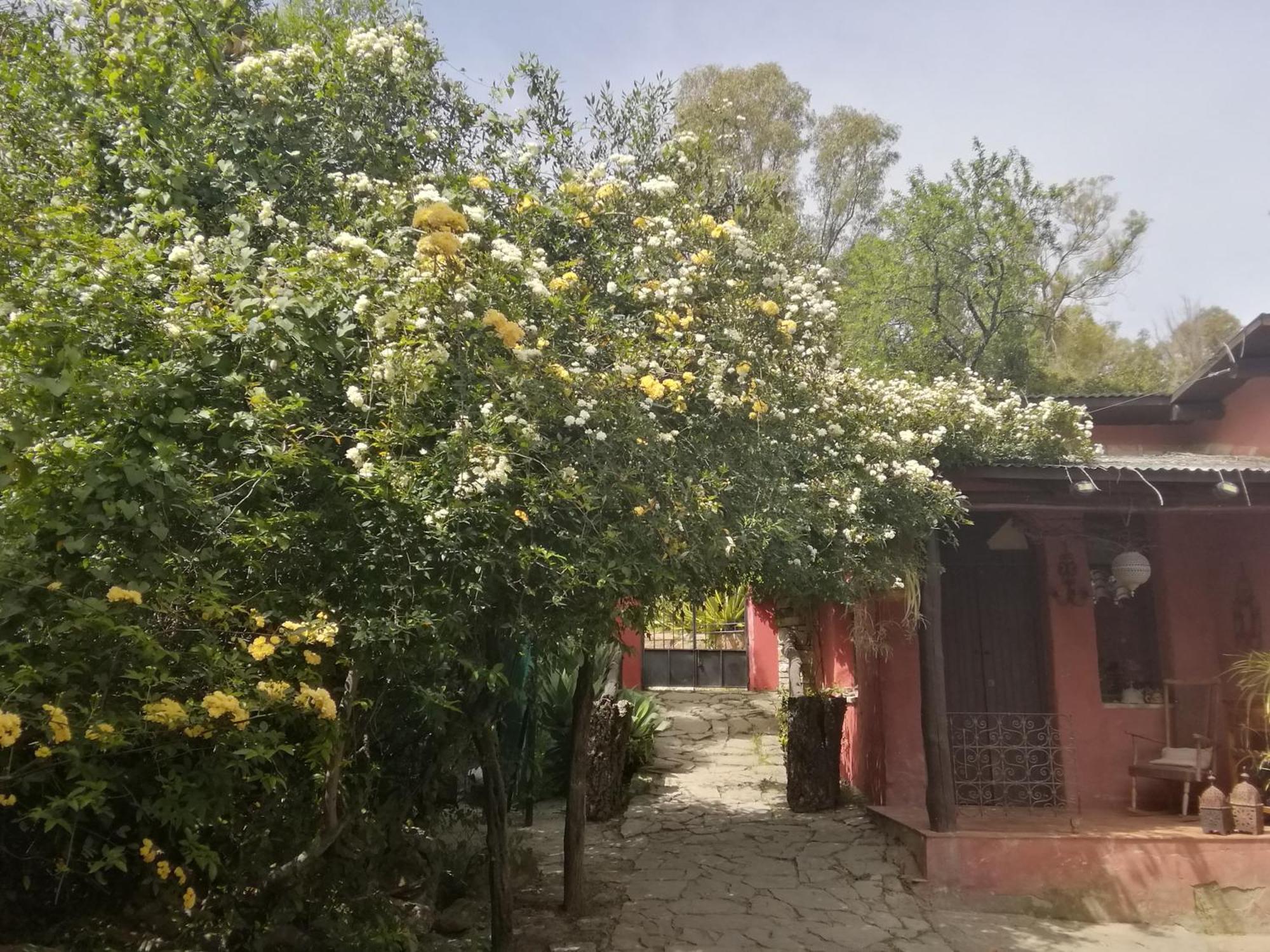 Eco Moyano Posada Gaucín Exterior foto